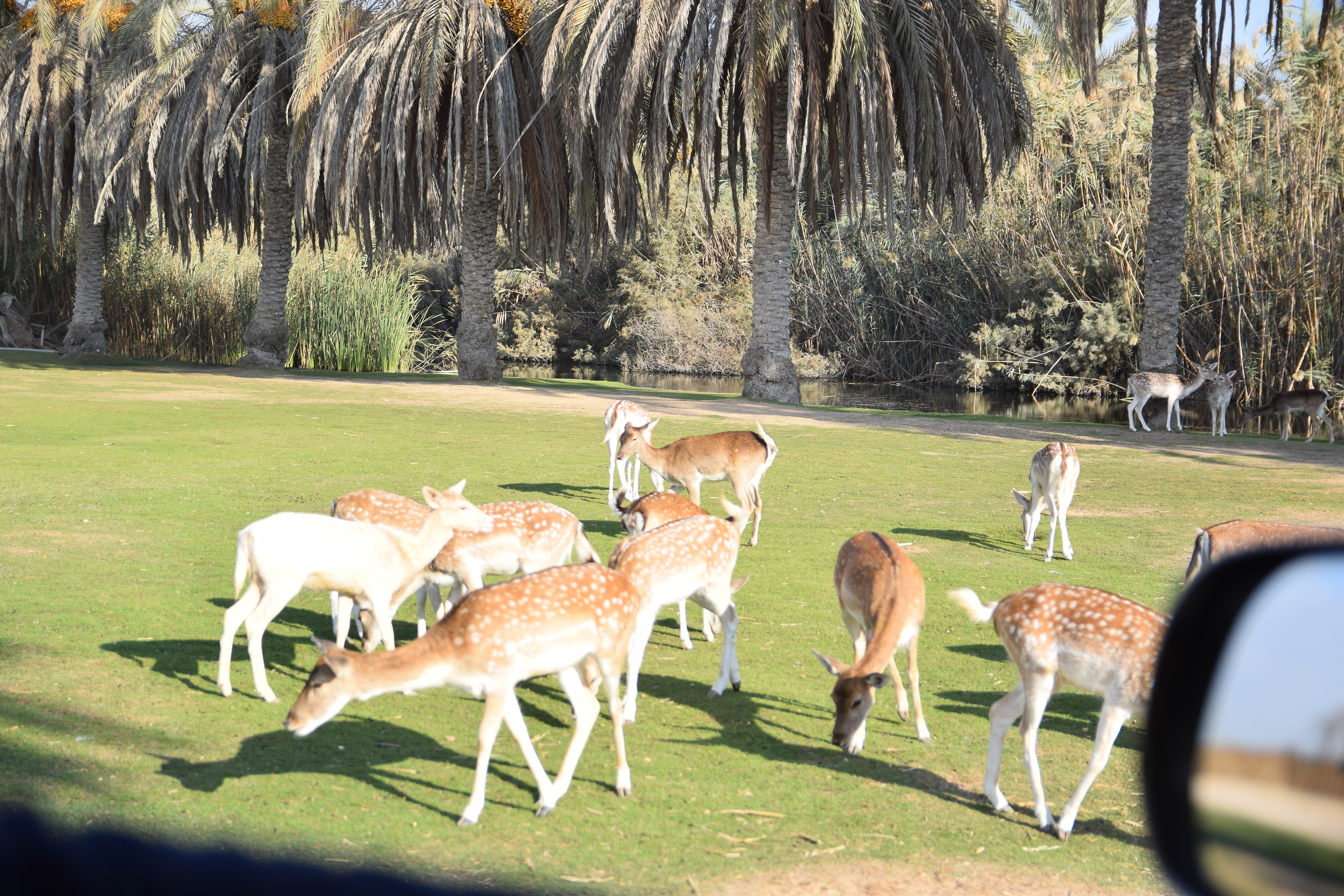 Africano Park Trip